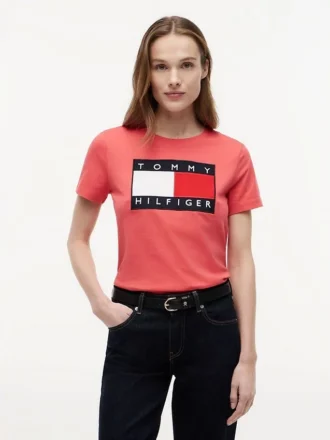 ビッグフラッグロゴTシャツ