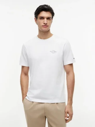 カラーブロック フラッグストライプ ロゴ Tシャツ