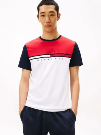 カラーブロック フラッグストライプ ロゴ Tシャツ