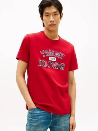 エブリデイTシャツ