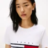 刺繍入りフラッグストライプロゴTシャツ