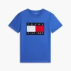 ビッグフラッグロゴTシャツ