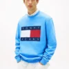 Tommy Jeans ビッグ・フラッグ・ロゴ スウェットシャツ
