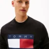 Tommy Jeans ビッグ・フラッグ・ロゴ スウェットシャツ