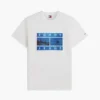 Tommy Jeans フォトグラフィックTシャツ Tommy Jeans フォトグラフィックTシャツ